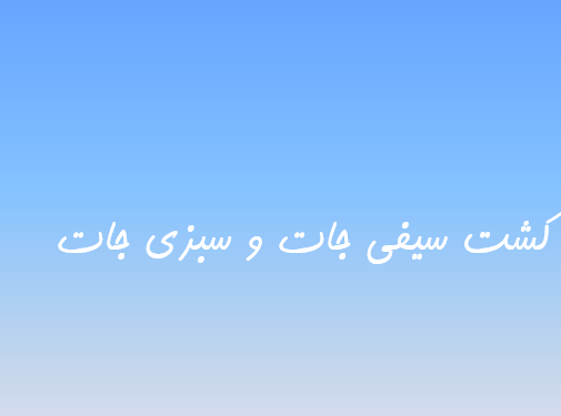  دانلود-پاورپوینت-کشت-سیفی-جات-و-سبزی-جات